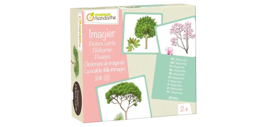 Imagier, Arbres - Multicolore