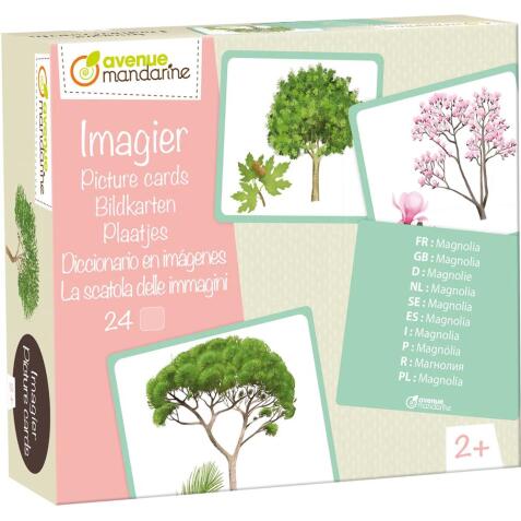 Imagier, Arbres - Multicolore