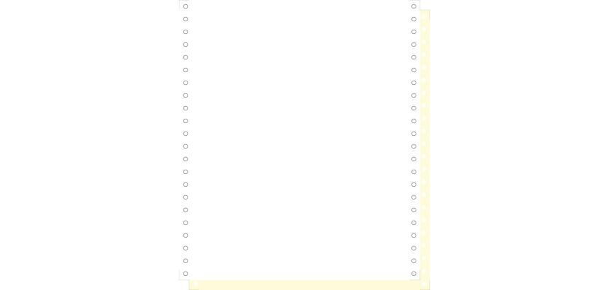 "1000 feuilles de listing autocopiantes blanc/jaune 240x11"" 2plis Bandes Caroll Détachables" - Blanc