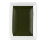 Aquarelle extra-fine godet géant - Vert de cobalt chrome