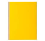 Pack of 10 expanding spine folders ROCK'S 320gsm - 24x32cm.