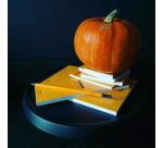 Bloc agrafé Rhodia N°8 7,4x21 cm 80 feuillets ligné 80g - Orange