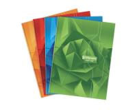 Cahier brochure rembordée rigide 7000 24x32 cm 192 pages grands carreaux 70 g - Assortis