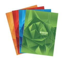 Cahier brochure rembordée rigide 7000 24x32 cm 192 pages grands carreaux 70 g - Assortis
