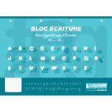 Bloc écriture à l'italienne 8000 CARTE A4 160 pages DL 3 mm IV 90 g - Vert