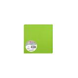 Paquet de 25 cartes simples Pollen 135x135mm 210g/m²