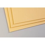 Pastelmat paquet 5F A3 360g - Bouton d'or