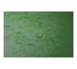 Elastomap 3 kleppen in glanskarton 400g/m2 - A4