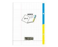 Cahier piqué 2 index 8000 POLYPRO 17x22cm 96 pages grands carreaux Incolore - Incolore
