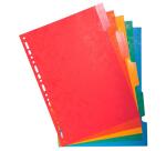 Tabbladen glanskarton 225g met geplastificeerde gekleurde tabs - 5 tabs - A4