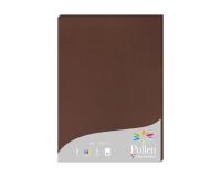 Etui de 25 feuilles Pollen 210x297 210g/m2