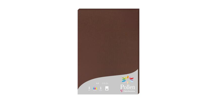 Etui de 25 feuilles Pollen 210x297 210g/m2