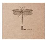 Flying Spirit carnet cousu 50F 15,5x15,5cm 90g - Kraft brun