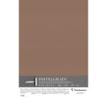 PastelGrain paquet 5F 50x70cm 360g - Brun