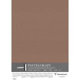 PastelGrain paquet 5F 50x70cm 360g - Brun