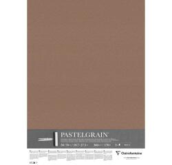 PastelGrain paquet 5F 50x70cm 360g - Brun