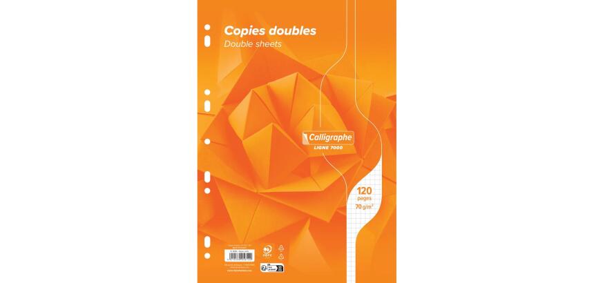 Copies doubles 7000 sous film A4 120 pages perforées petits carreaux 70 g
