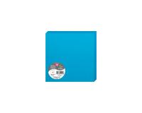 Paquet de 25 cartes pliées Pollen 160x160mm 210g/m2 - Bleu turquoise