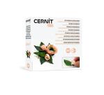 Kit starter, Broche Fleur