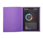 Paquet de 100 chemises ROCK''S 210 - 24x32cm