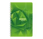Carnet reliure intégrale 7000 11x17 cm 100 pages petits carreaux 70 g - Assortis