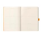 Rhodiarama Goalbook souple A5 240 pages petits carreaux 5x5 papier ivoire 90g - Taupe
