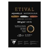 Etival Noir bloc collé 1 côté 15F A2 300g double grain