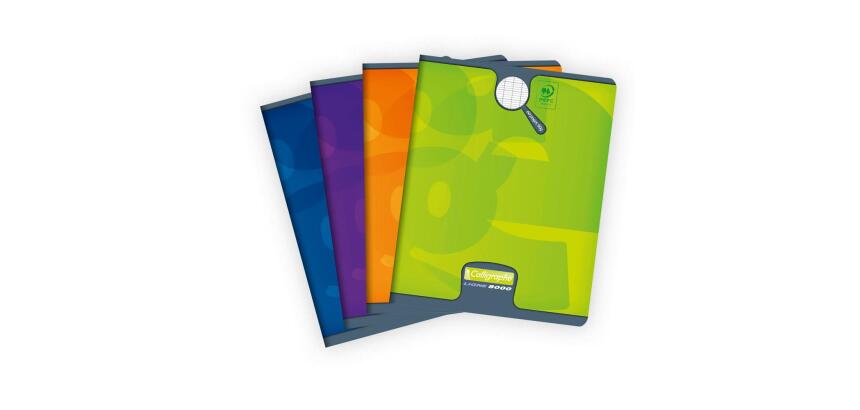 Cahier piqué 8000 CARTE 17x22 cm 60 pages grands carreaux 90 g - Assortis