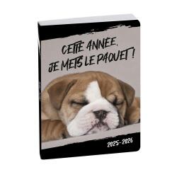 Agenda Forum Funny Pets Chien 12 x 17 cm Journalier Août 2025 à Juillet 2026 - Visuel