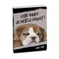 Agenda Forum Funny Pets Chien 12 x 17 cm Journalier Août 2025 à Juillet 2026 - Visuel