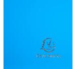 Protège-documents en polypropylène semi rigide IDERAMA PP 80 vues - A4