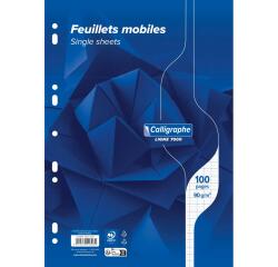 Feuillets mobiles sous film 7000 A4 100 pages perforées grands carreaux 90 g