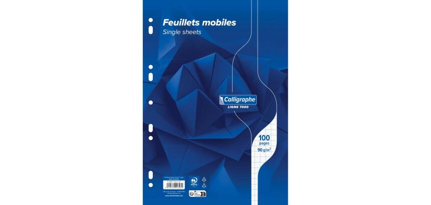 Feuillets mobiles sous film 7000 A4 100 pages perforées grands carreaux 90 g