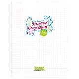 Cahier Travaux Pratiques piqué 8000 POLYPRO 24x32 cm 96 pages grands carreaux + uni 90 g - Incolore