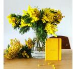 Rhodiarama carnet souple A6 144 pages ligné pap ivoire 90g fermeture élastique - Jonquille