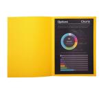 Pack of 10 square cut folders ROCK'S 210 - 24x32cm