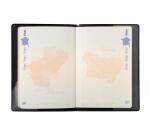 Etui protection RFID Hidentity® Passeport - Noir