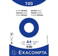 Pk100 Exa Rec Card 21x29.7cm Plain White - White