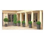 Panneau de signalisation 'Point de rassemblement'