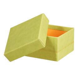 Rhodiarama set 5 boîtes gigognes simili cuir italien 44x34x16 cm - Anis