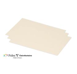 Paquet de 25 cartes simples Pollen 158x222mm 210g/m²