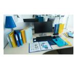 Folder 3Flap elast. PP A4 Bee Blue ass. - Assorted colours