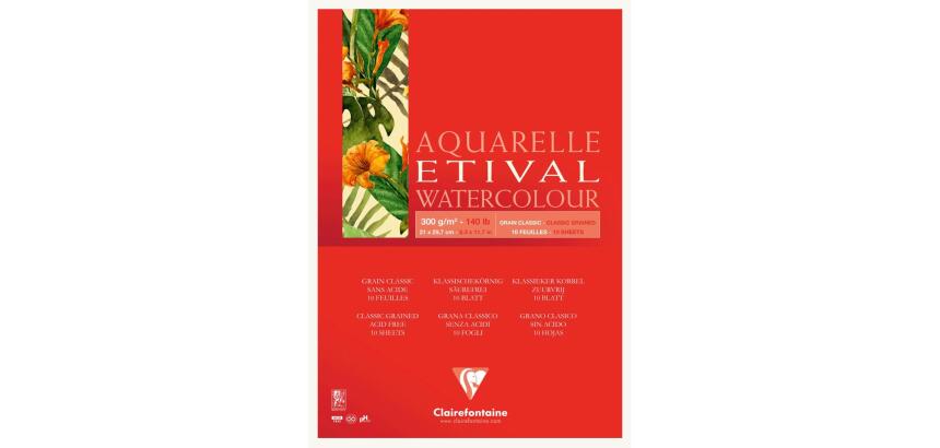 Etival bloc collé 1 côté 10F A4 300g grain classic