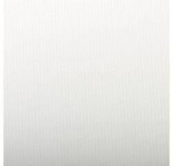 Ingres Pastel paquet 25F 50x65cm 130g - Blanc