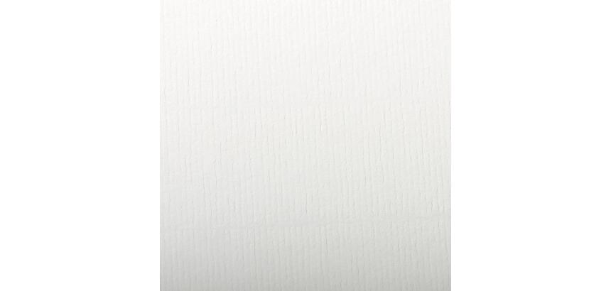 Ingres Pastel paquet 25F 50x65cm 130g - Blanc