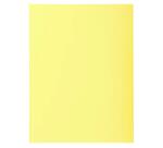 Pk 100 Folders SUPER 160 Salmon