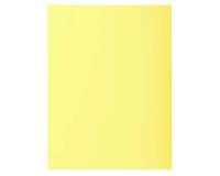 Pk 100 Folders SUPER 160 Salmon