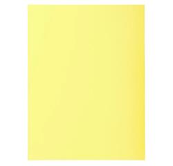 Pk 100 Folders SUPER 160 Salmon