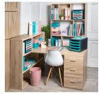 Classeur semi-rigide 2 anneaux PP recyclé Skandi - Couleurs assorties