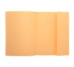 Paquete de 100 Subcarpetas SUPER A4 24x 32 1 solapa Exacompta 160 g/m2